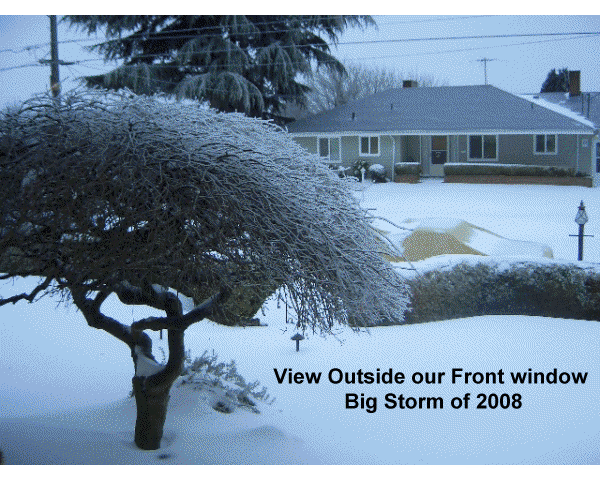 snow_storm_dec2008 Snow Ice Storm 2008