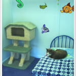 Luxury Ocean Fish Cat Suite