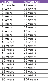 Age Of Cats Chart